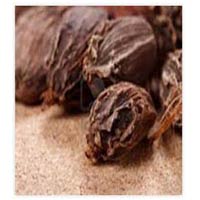 Manufacturers,Suppliers of Black Cardamom